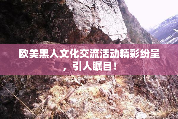 欧美黑人文化交流活动精彩纷呈，引人瞩目！