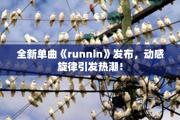 全新单曲《runnin》发布，动感旋律引发热潮！