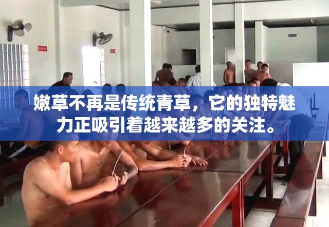 嫩草不再是传统青草，它的独特魅力正吸引着越来越多的关注。