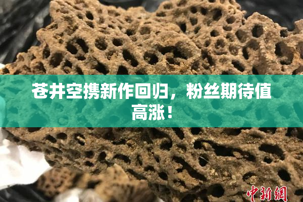 苍井空携新作回归，粉丝期待值高涨！