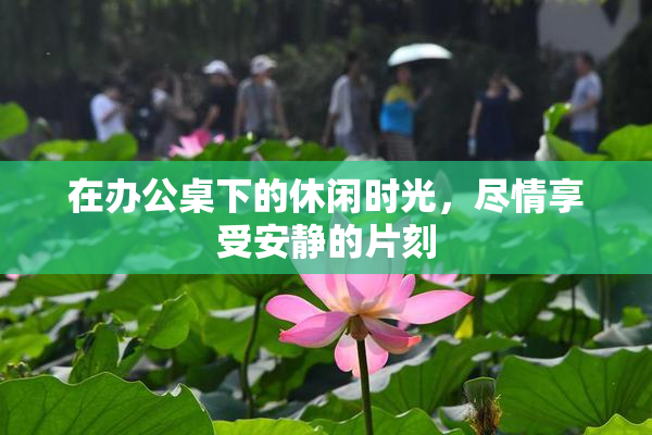 在办公桌下的休闲时光，尽情享受安静的片刻