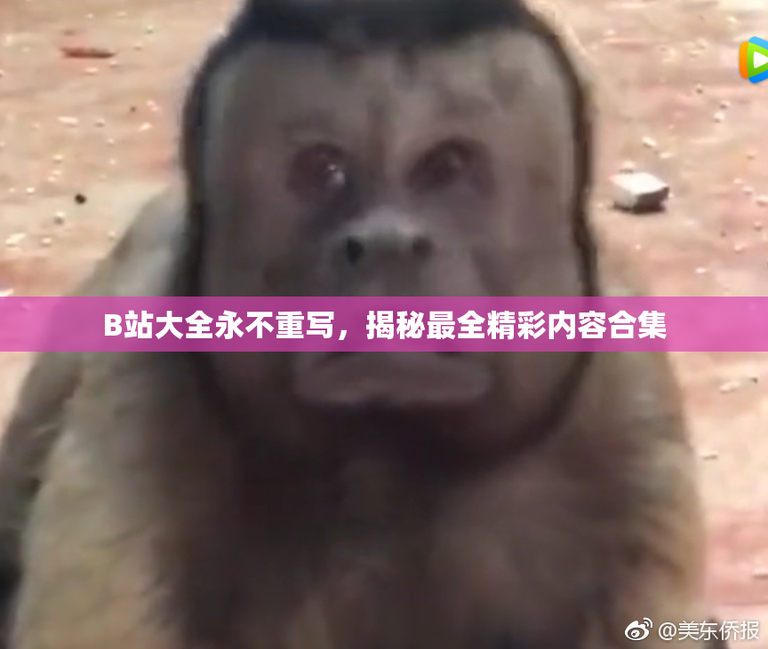 B站大全永不重写，揭秘最全精彩内容合集
