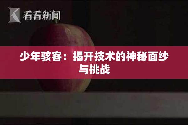 少年骇客：揭开技术的神秘面纱与挑战