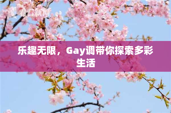 乐趣无限，Gay调带你探索多彩生活