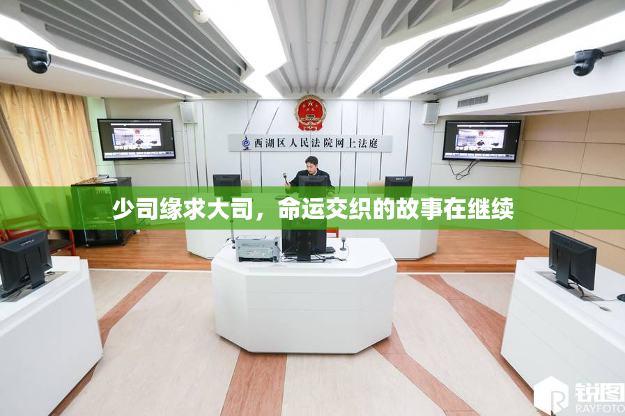 少司缘求大司，命运交织的故事在继续