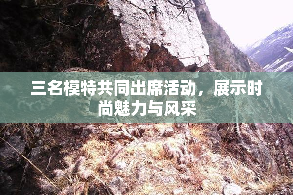 三名模特共同出席活动，展示时尚魅力与风采