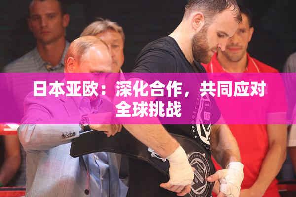 日本亚欧：深化合作，共同应对全球挑战