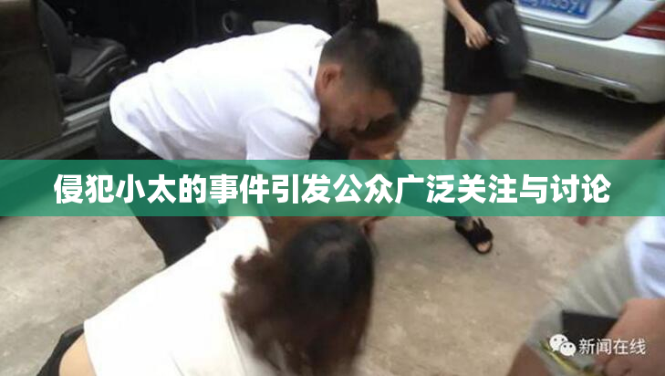 侵犯小太的事件引发公众广泛关注与讨论