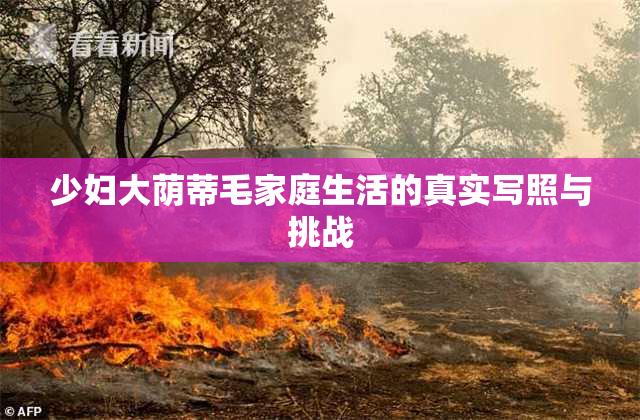 少妇大荫蒂毛家庭生活的真实写照与挑战