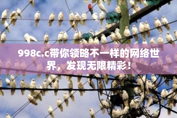 998c.c带你领略不一样的网络世界，发现无限精彩！