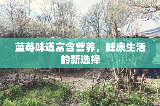 蓝莓味道富含营养，健康生活的新选择