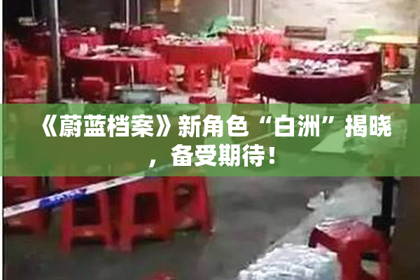 《蔚蓝档案》新角色“白洲”揭晓，备受期待！
