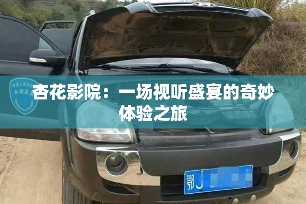 杏花影院：一场视听盛宴的奇妙体验之旅