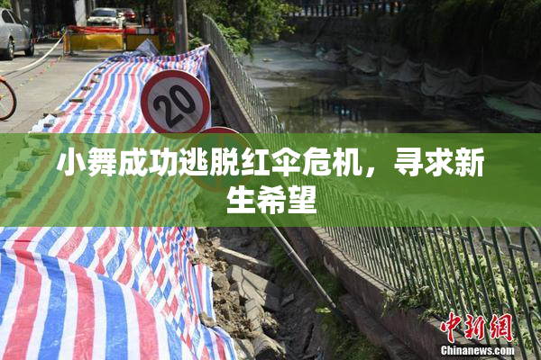 小舞成功逃脱红伞危机，寻求新生希望