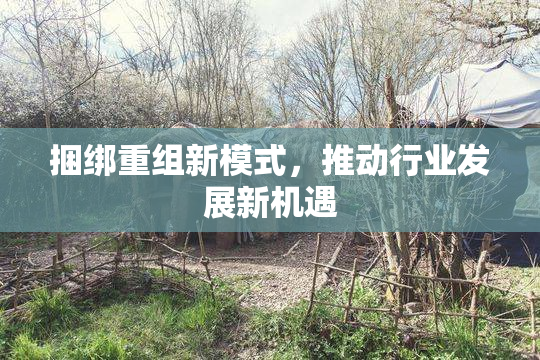 捆绑重组新模式，推动行业发展新机遇