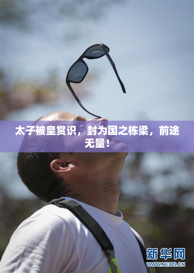 太子被皇赏识，封为国之栋梁，前途无量！