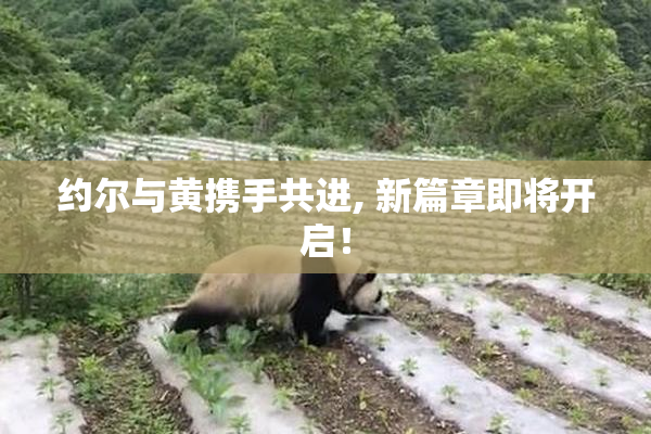 约尔与黄携手共进, 新篇章即将开启！