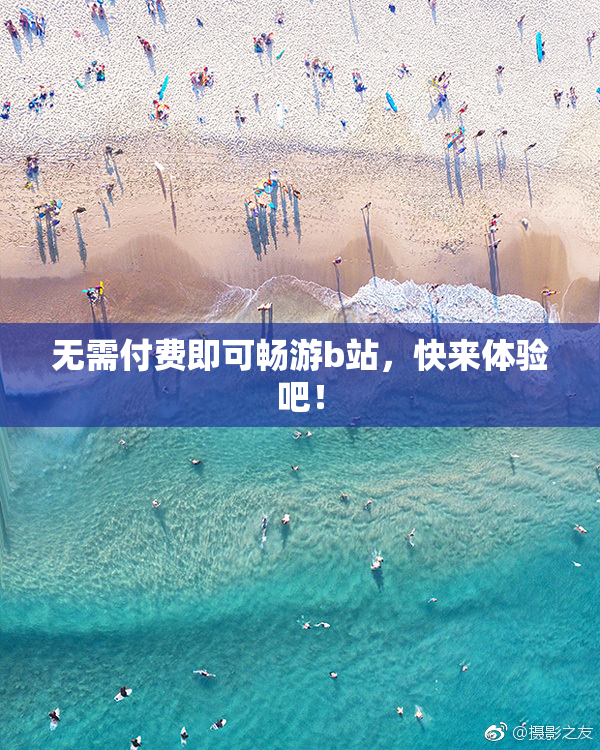 无需付费即可畅游b站，快来体验吧！