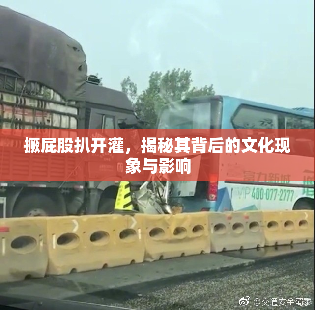 撅屁股扒开灌，揭秘其背后的文化现象与影响