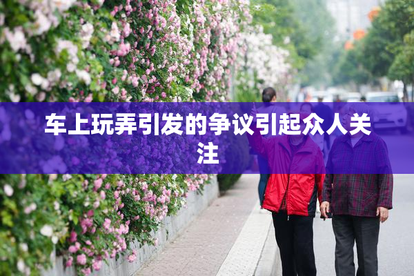 车上玩弄引发的争议引起众人关注