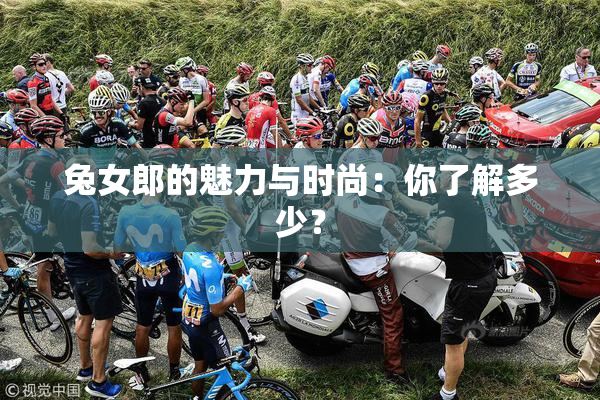 兔女郎的魅力与时尚：你了解多少？