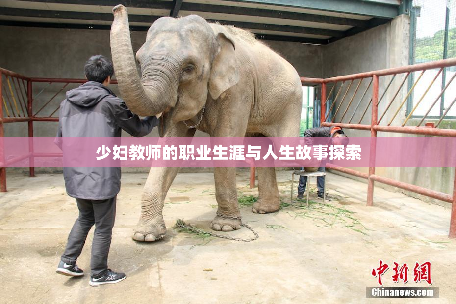 少妇教师的职业生涯与人生故事探索