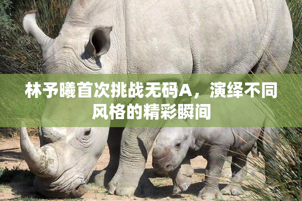 林予曦首次挑战无码A，演绎不同风格的精彩瞬间