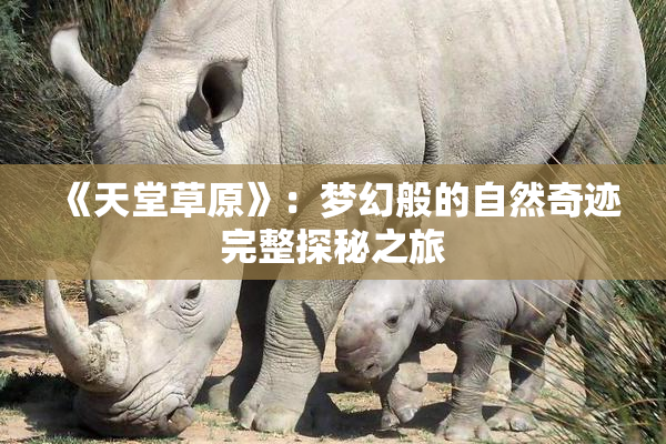 《天堂草原》：梦幻般的自然奇迹完整探秘之旅