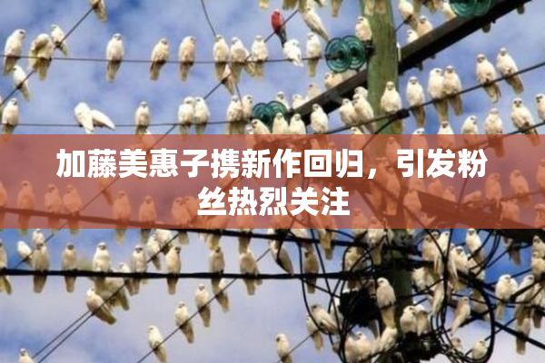 加藤美惠子携新作回归，引发粉丝热烈关注