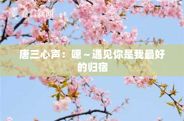 唐三心声：嗯～遇见你是我最好的归宿