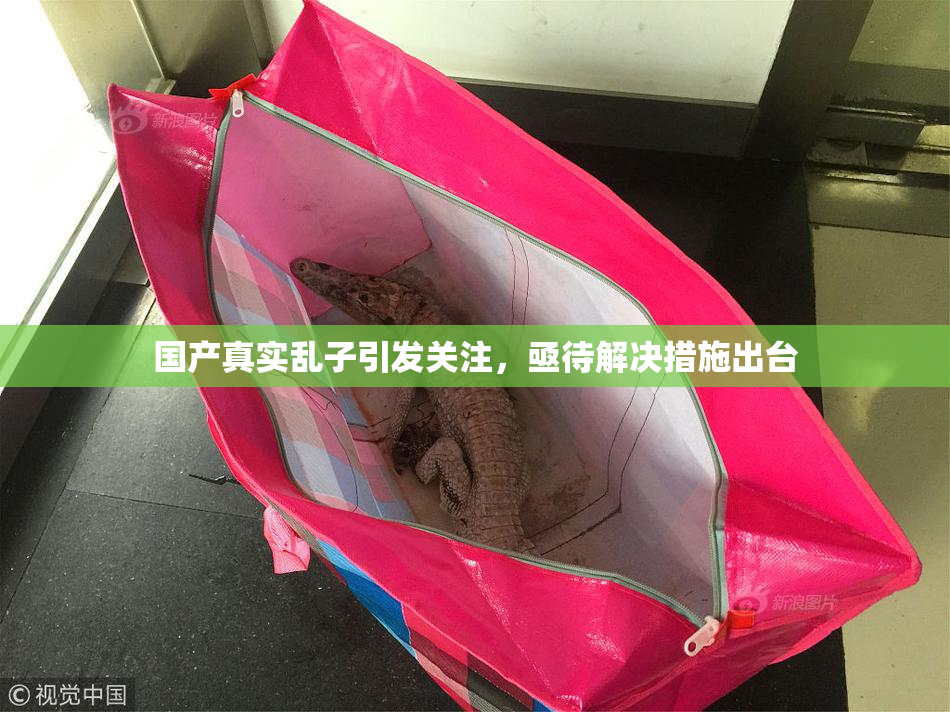 国产真实乱子引发关注，亟待解决措施出台