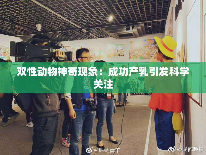 双性动物神奇现象：成功产乳引发科学关注