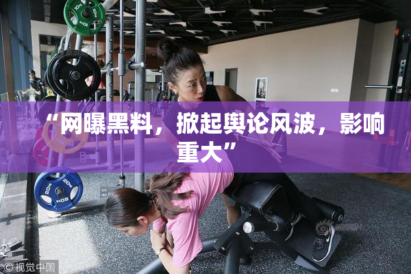 “网曝黑料，掀起舆论风波，影响重大”