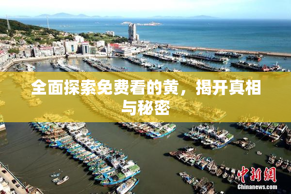 全面探索免费看的黄，揭开真相与秘密