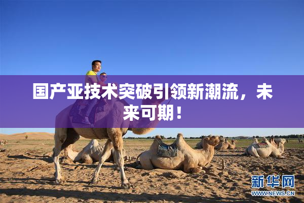 国产亚技术突破引领新潮流，未来可期！