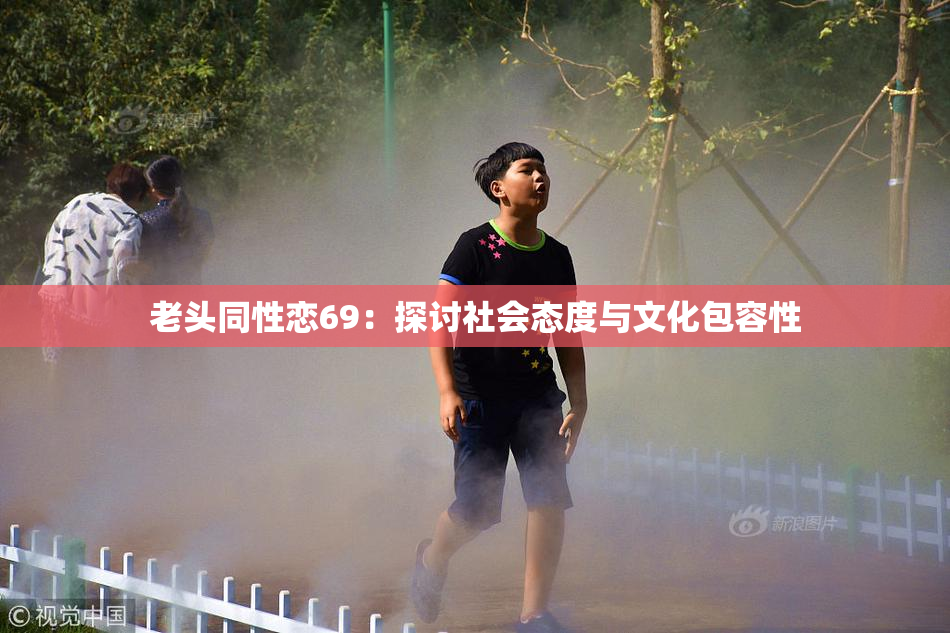 老头同性恋69：探讨社会态度与文化包容性