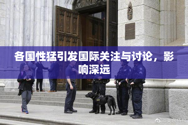 各国性猛引发国际关注与讨论，影响深远
