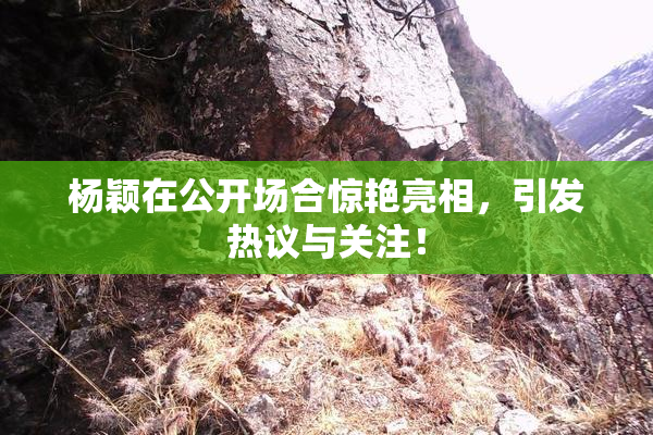杨颖在公开场合惊艳亮相，引发热议与关注！