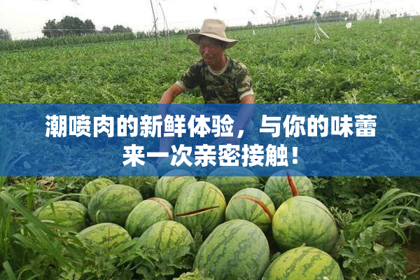 潮喷肉的新鲜体验，与你的味蕾来一次亲密接触！
