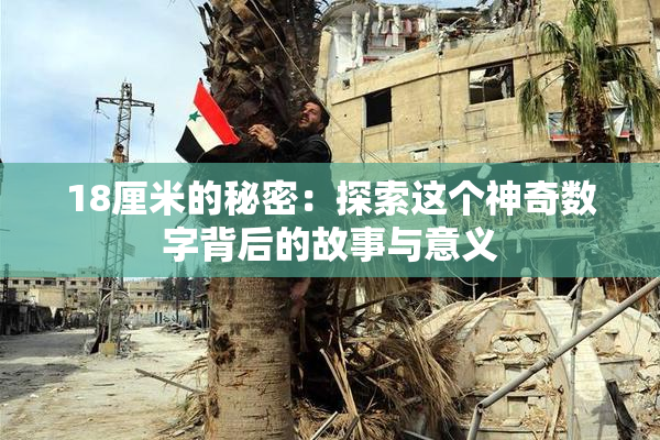 18厘米的秘密：探索这个神奇数字背后的故事与意义