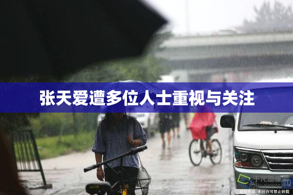 张天爱遭多位人士重视与关注