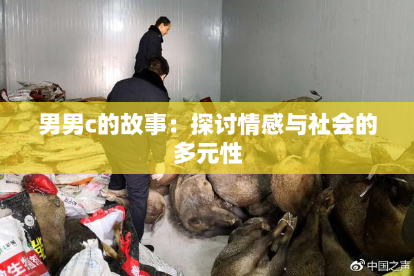男男c的故事：探讨情感与社会的多元性