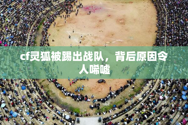 cf灵狐被踢出战队，背后原因令人唏嘘
