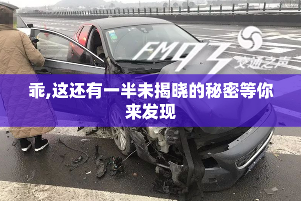 乖,这还有一半未揭晓的秘密等你来发现