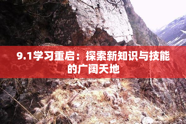 9.1学习重启：探索新知识与技能的广阔天地