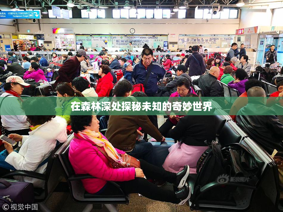 在森林深处探秘未知的奇妙世界