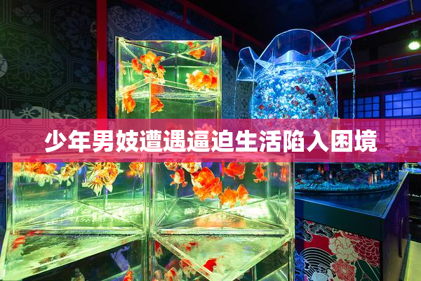 少年男妓遭遇逼迫生活陷入困境
