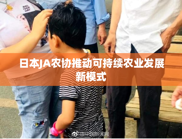 日本JA农协推动可持续农业发展新模式