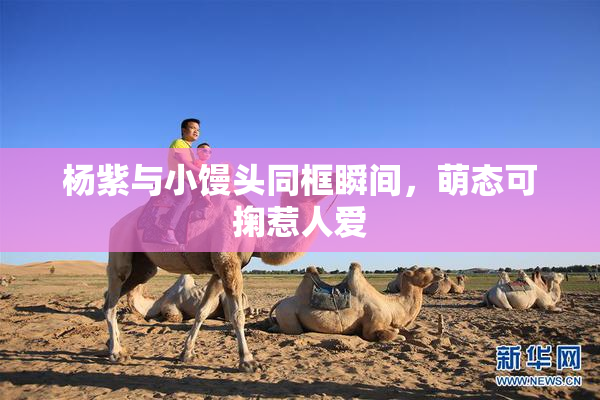杨紫与小馒头同框瞬间，萌态可掬惹人爱