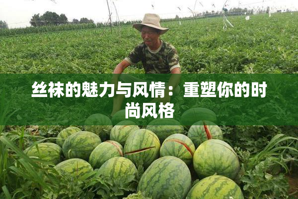 丝袜的魅力与风情：重塑你的时尚风格